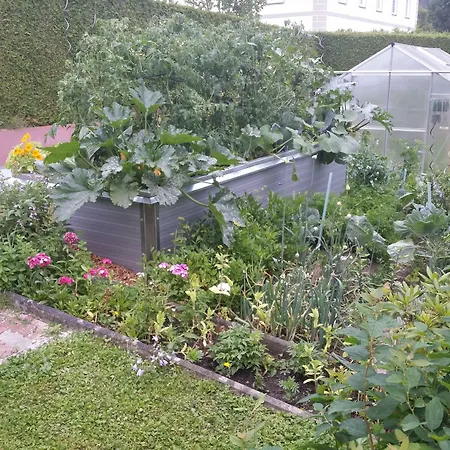 Affittacamere Gasthof-pension Lamprecht